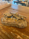 Hand Painted Horned Toad on Texas Native Rock