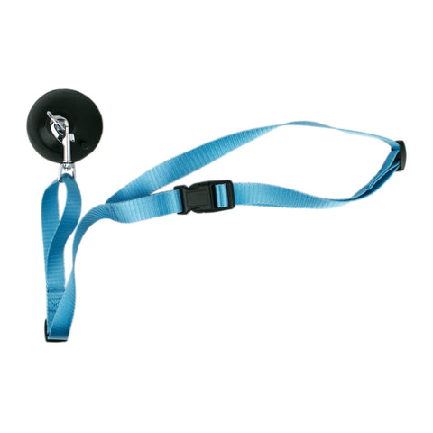 Dog BathSuction Cup Leash