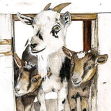 Dolly Estelle Cutting Boards