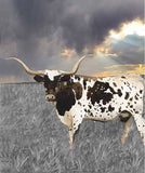 Dolly Estelle Cutting Boards