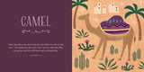 From Eden to Bethlehem: Board Book / English