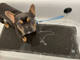 Dog BathSuction Cup Leash