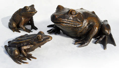 Wildflower Collection Frogs