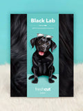 Pop up Greeting cards