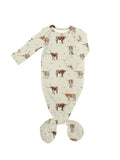 Longhorn Cattle Print