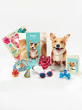 Pop up Greeting cards