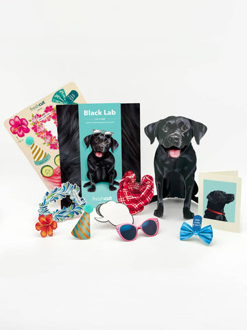Pop up Greeting cards