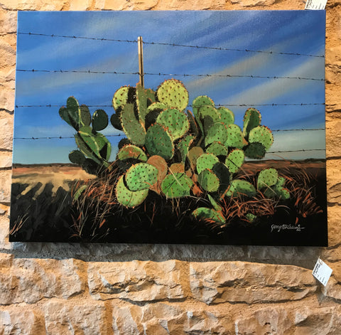 "Late Day Cactus in Fence" - Jerry McAdams
