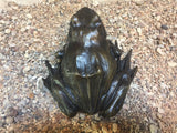 Bull Frog