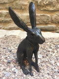 Jack Rabbit