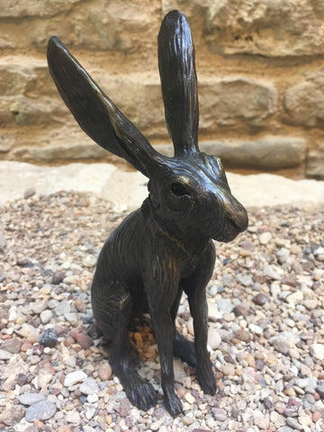Jack Rabbit