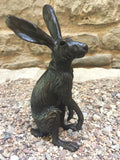 Jack Rabbit