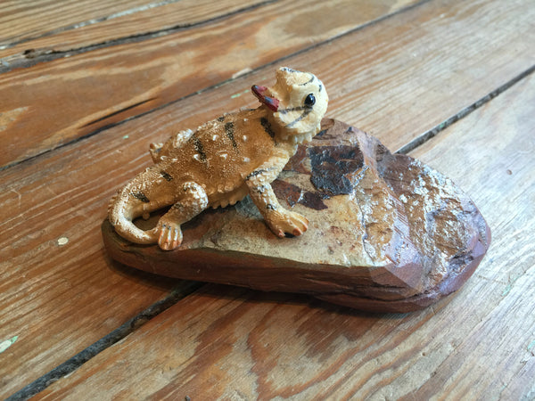 Hand Painted Horned Toad on Texas Native Rock