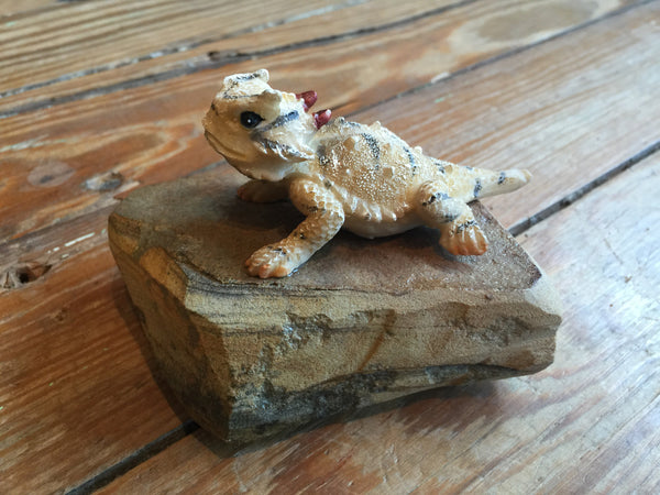 Hand Painted Horned Toad on Texas Native Rock – Blue Star Trading