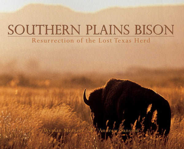 Southern Plains Bison- Wyman Meinzer