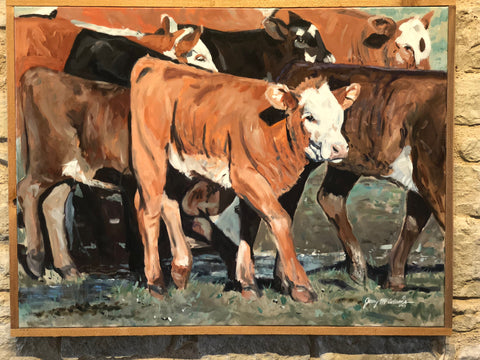 Penned Calves at Weaning Time- Jerrry McAdams