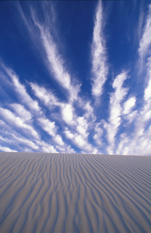 Favorite Forty: Cloud Striated Sand- Wyman Meinzer