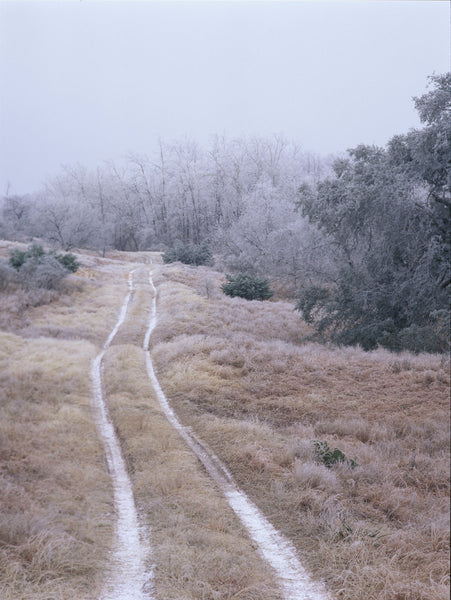 Favorite Forty: Hill Country Winter- Wyman Meinzer
